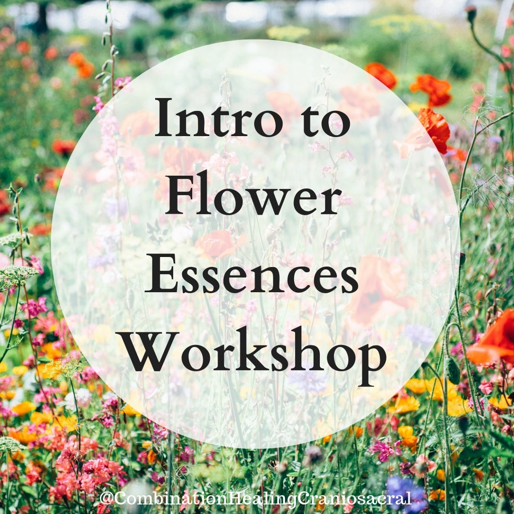 image from Intro to Flower Essences Workshop