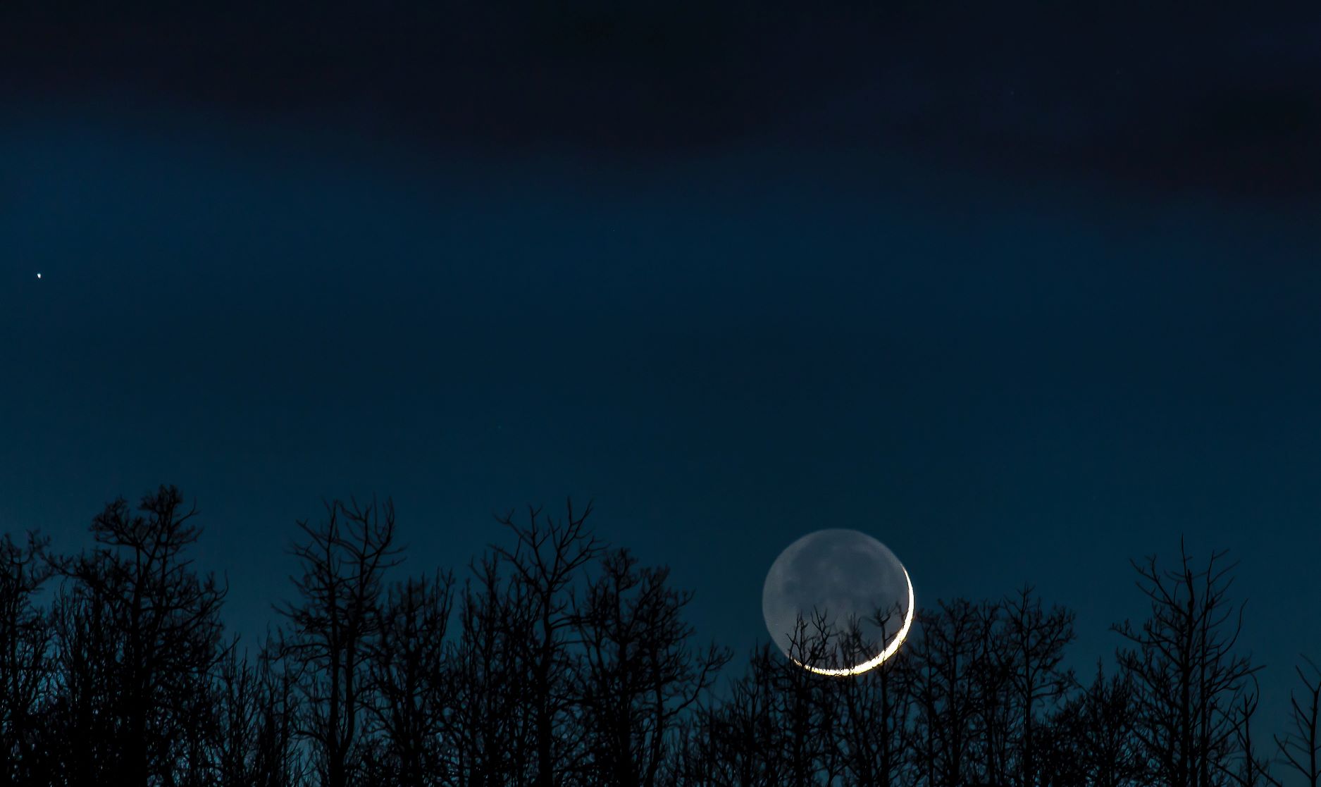 image of crescent moon with forest in foreground
